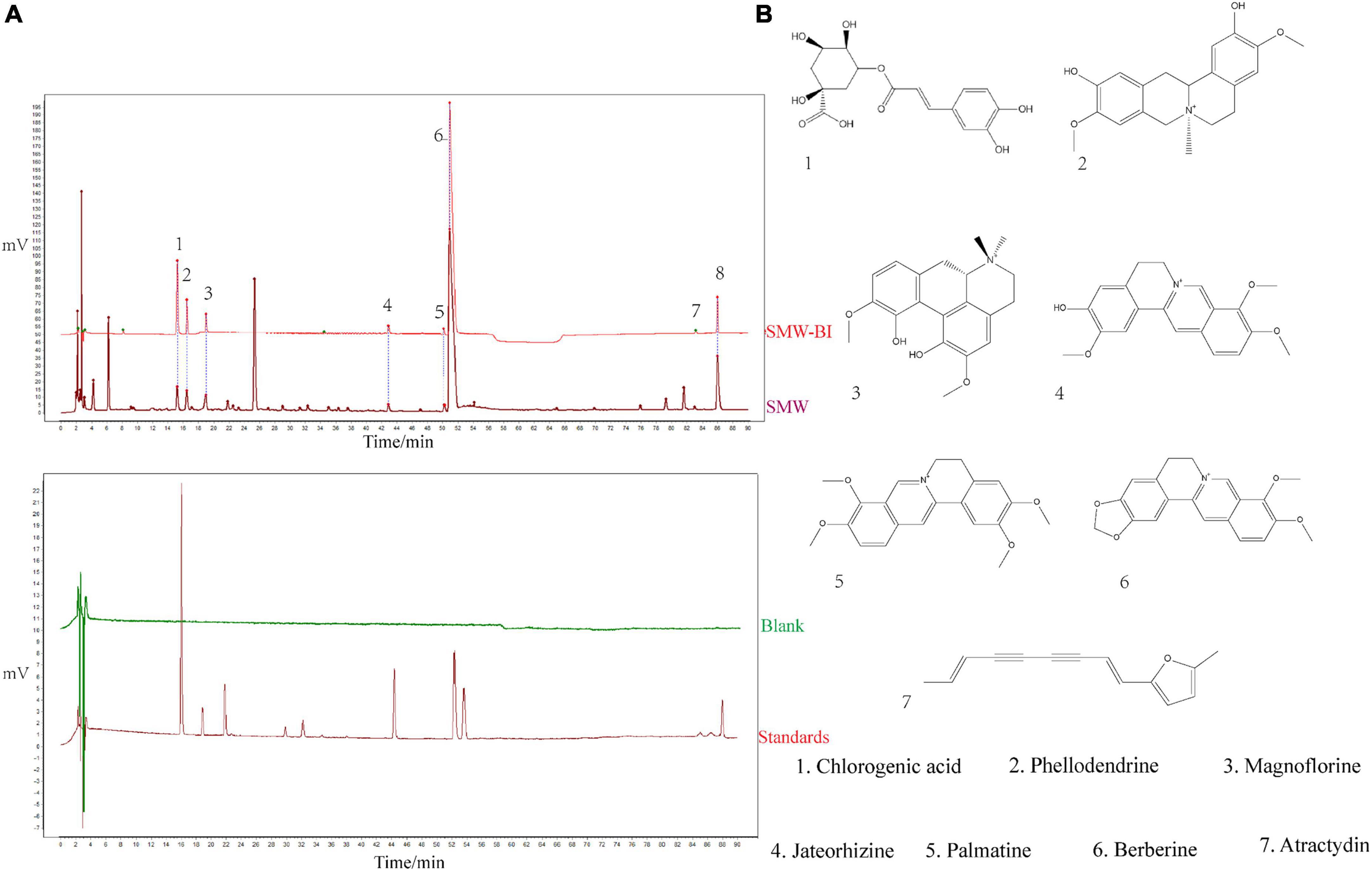 Simiao Wan and its ingredients alleviate type 2 diabetes mellitus via IRS1/AKT2/FOXO1/GLUT2 signaling